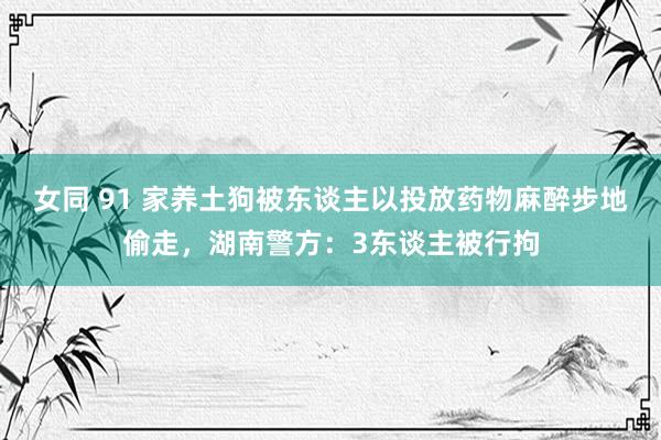 女同 91 家养土狗被东谈主以投放药物麻醉步地偷走，湖南警方：3东谈主被行拘