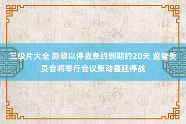 三级片大全 距黎以停战条约到期约20天 监督委员会将举行会议策动蔓延停战