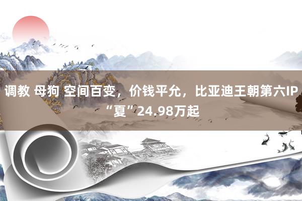 调教 母狗 空间百变，价钱平允，比亚迪王朝第六IP“夏”24.98万起