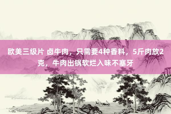 欧美三级片 卤牛肉，只需要4种香料，5斤肉放2克，牛肉出锅软烂入味不塞牙