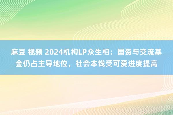 麻豆 视频 2024机构LP众生相：国资与交流基金仍占主导地位，社会本钱受可爱进度提高