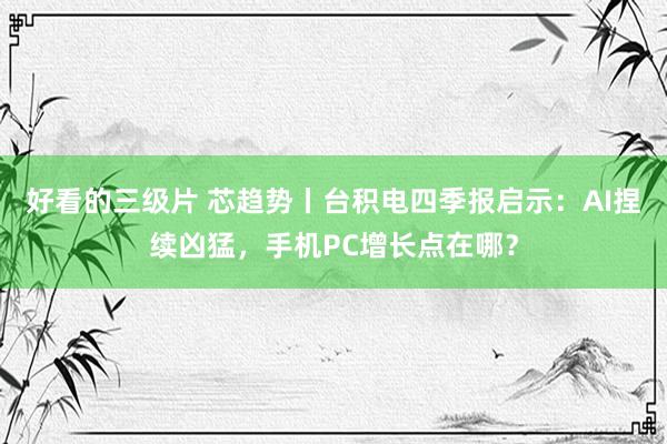 好看的三级片 芯趋势丨台积电四季报启示：AI捏续凶猛，手机PC增长点在哪？
