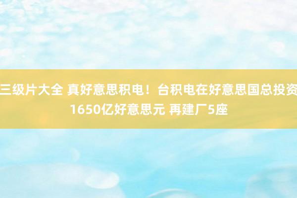 三级片大全 真好意思积电！台积电在好意思国总投资1650亿好意思元 再建厂5座