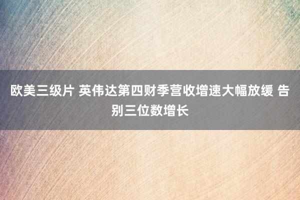 欧美三级片 英伟达第四财季营收增速大幅放缓 告别三位数增长