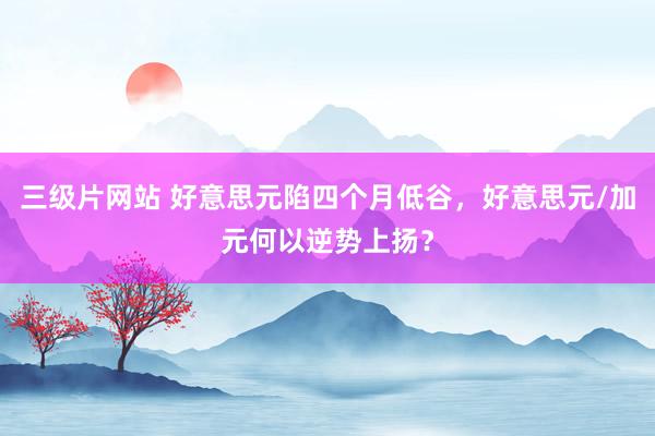 三级片网站 好意思元陷四个月低谷，好意思元/加元何以逆势上扬？