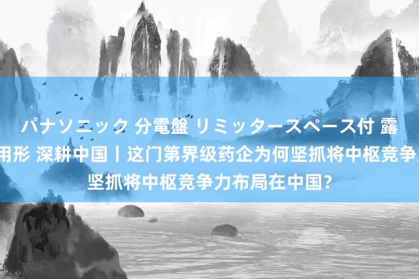 パナソニック 分電盤 リミッタースペース付 露出・半埋込両用形 深耕中国丨这门第界级药企为何坚抓将中枢竞争力布局在中国？