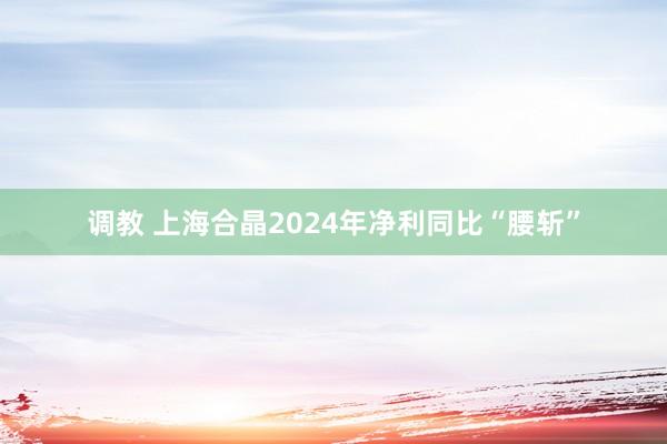调教 上海合晶2024年净利同比“腰斩”