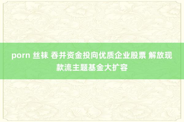 porn 丝袜 吞并资金投向优质企业股票 解放现款流主题基金大扩容