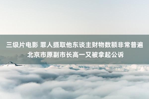 三级片电影 罪人摄取他东谈主财物数额非常普遍 北京市原副市长高一又被拿起公诉