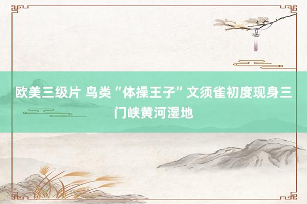 欧美三级片 鸟类“体操王子”文须雀初度现身三门峡黄河湿地