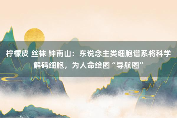 柠檬皮 丝袜 钟南山：东说念主类细胞谱系将科学解码细胞，为人命绘图“导航图”