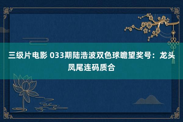 三级片电影 033期陆浩波双色球瞻望奖号：龙头凤尾连码质合