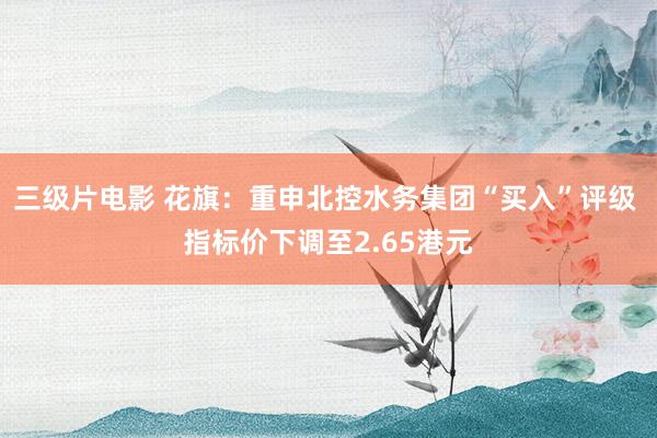 三级片电影 花旗：重申北控水务集团“买入”评级 指标价下调至2.65港元