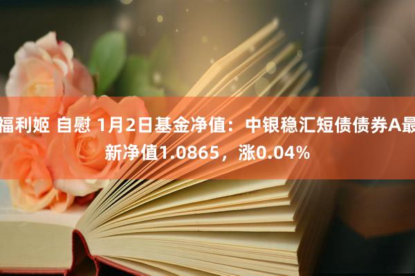 福利姬 自慰 1月2日基金净值：中银稳汇短债债券A最新净值1.0865，涨0.04%