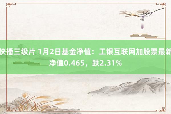 快播三级片 1月2日基金净值：工银互联网加股票最新净值0.465，跌2.31%