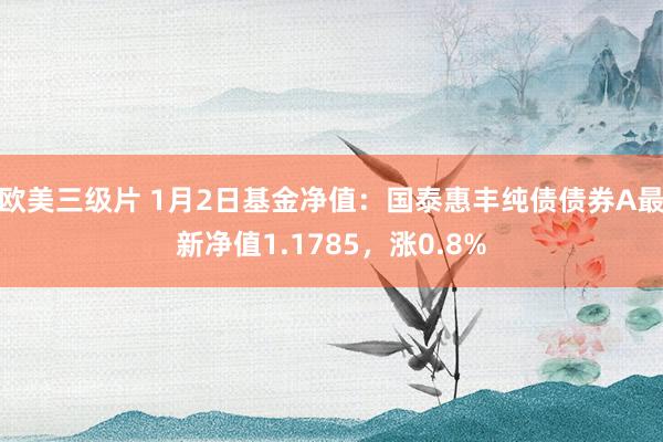 欧美三级片 1月2日基金净值：国泰惠丰纯债债券A最新净值1.1785，涨0.8%