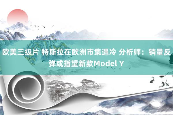 欧美三级片 特斯拉在欧洲市集遇冷 分析师：销量反弹或指望新款Model Y