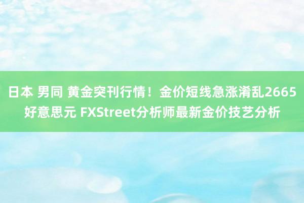 日本 男同 黄金突刊行情！金价短线急涨淆乱2665好意思元 FXStreet分析师最新金价技艺分析