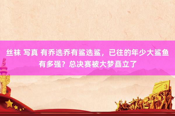 丝袜 写真 有乔选乔有鲨选鲨，已往的年少大鲨鱼有多强？总决赛被大梦矗立了
