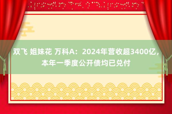 双飞 姐妹花 万科A：2024年营收超3400亿，本年一季度公开债均已兑付