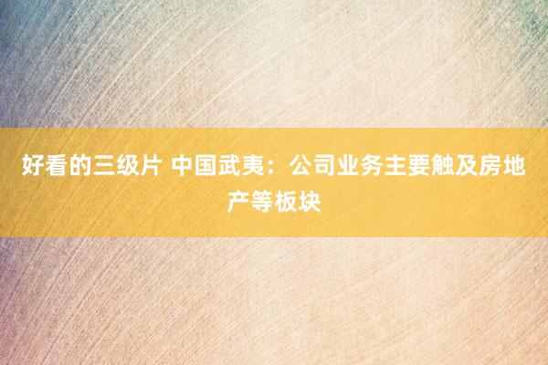 好看的三级片 中国武夷：公司业务主要触及房地产等板块