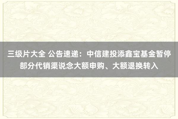 三级片大全 公告速递：中信建投添鑫宝基金暂停部分代销渠说念大额申购、大额退换转入