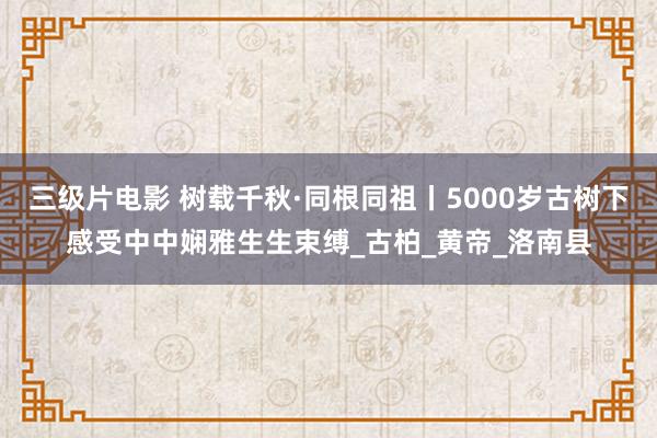 三级片电影 树载千秋·同根同祖丨5000岁古树下感受中中娴雅生生束缚_古柏_黄帝_洛南县
