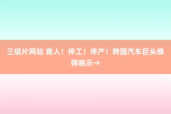 三级片网站 裁人！停工！停产！跨国汽车巨头倏得晓示→