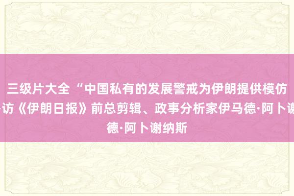 三级片大全 “中国私有的发展警戒为伊朗提供模仿” ——访《伊朗日报》前总剪辑、政事分析家伊马德·阿卜谢纳斯