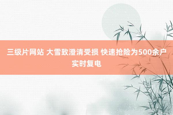 三级片网站 大雪致澄清受损 快速抢险为500余户实时复电