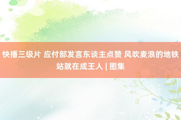 快播三级片 应付部发言东谈主点赞 风吹麦浪的地铁站就在成王人 | 图集