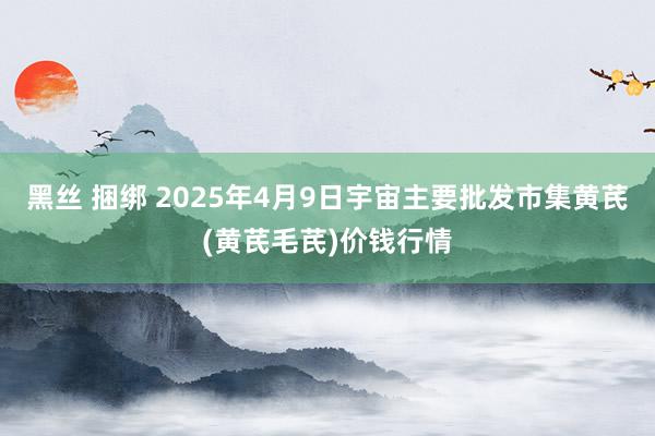 黑丝 捆绑 2025年4月9日宇宙主要批发市集黄芪(黄芪毛芪)价钱行情