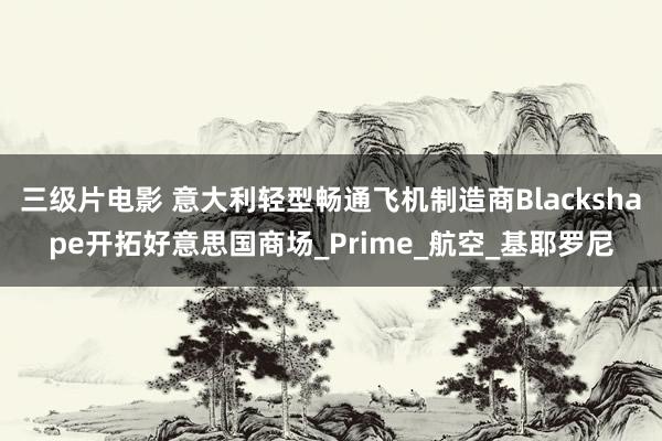 三级片电影 意大利轻型畅通飞机制造商Blackshape开拓好意思国商场_Prime_航空_基耶罗尼