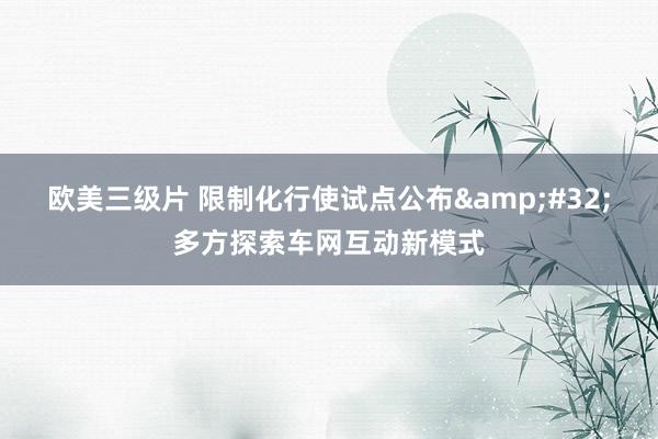 欧美三级片 限制化行使试点公布&#32;多方探索车网互动新模式