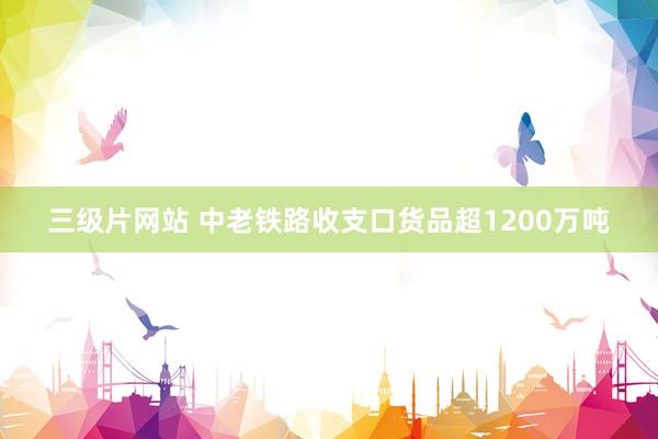 三级片网站 中老铁路收支口货品超1200万吨