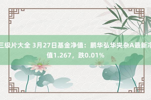 三级片大全 3月27日基金净值：鹏华弘华夹杂A最新净值1.267，跌0.01%