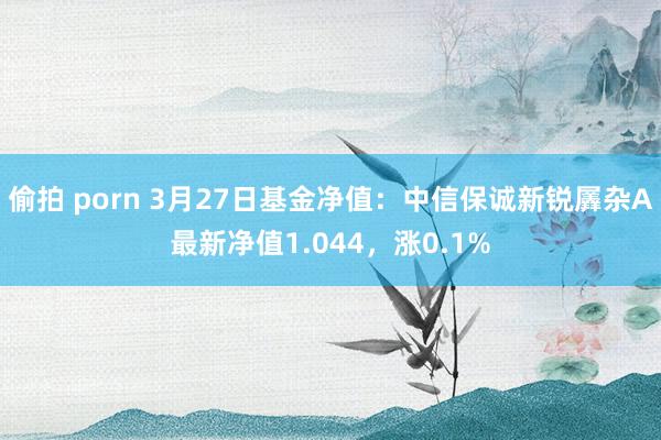 偷拍 porn 3月27日基金净值：中信保诚新锐羼杂A最新净值1.044，涨0.1%