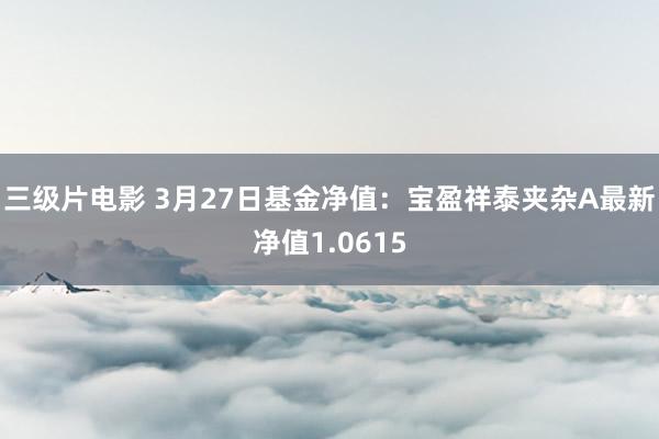 三级片电影 3月27日基金净值：宝盈祥泰夹杂A最新净值1.0615