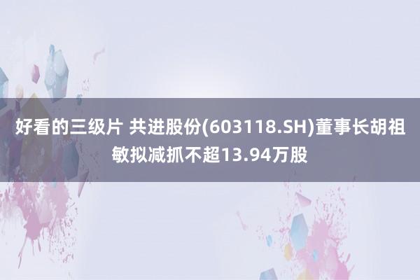 好看的三级片 共进股份(603118.SH)董事长胡祖敏拟减抓不超13.94万股