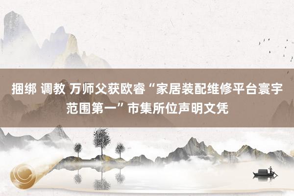 捆绑 调教 万师父获欧睿“家居装配维修平台寰宇范围第一”市集所位声明文凭