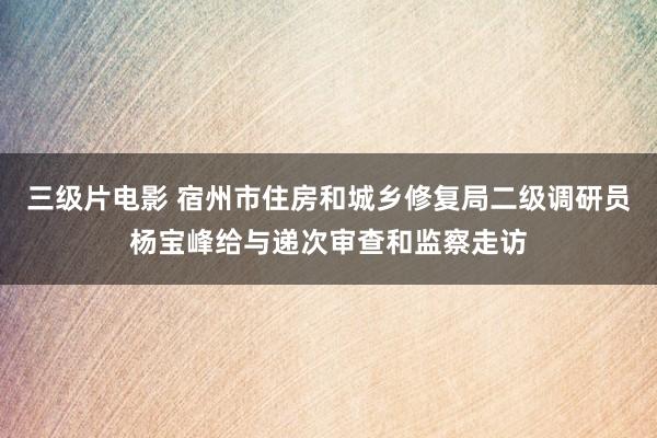 三级片电影 宿州市住房和城乡修复局二级调研员杨宝峰给与递次审查和监察走访