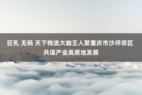 巨乳 无码 天下物流大咖王人聚重庆市沙坪坝区 共谋产业高质地发展