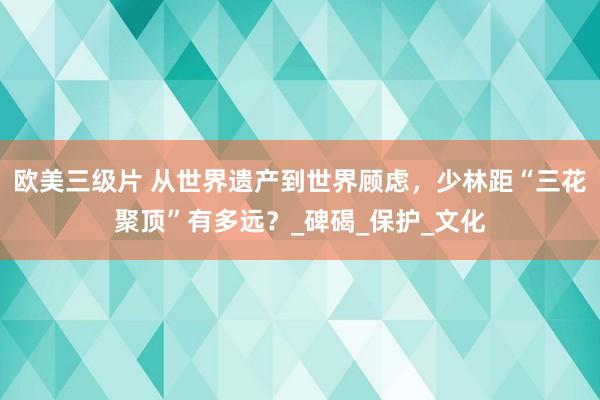 欧美三级片 从世界遗产到世界顾虑，少林距“三花聚顶”有多远？_碑碣_保护_文化