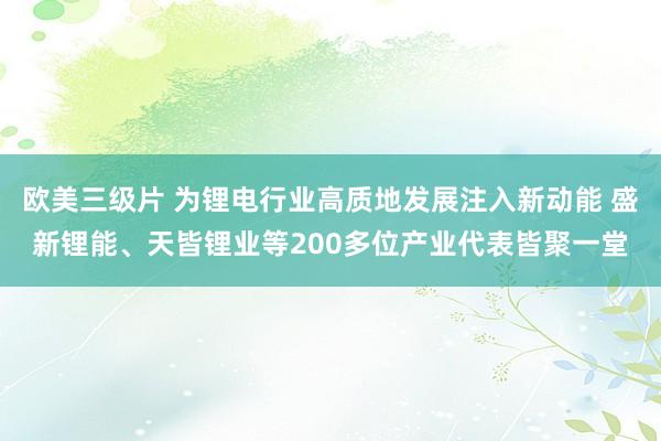 欧美三级片 为锂电行业高质地发展注入新动能 盛新锂能、天皆锂业等200多位产业代表皆聚一堂