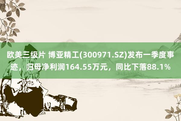 欧美三级片 博亚精工(300971.SZ)发布一季度事迹，归母净利润164.55万元，同比下落88.1%