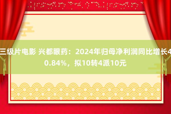 三级片电影 兴都眼药：2024年归母净利润同比增长40.84%，拟10转4派10元