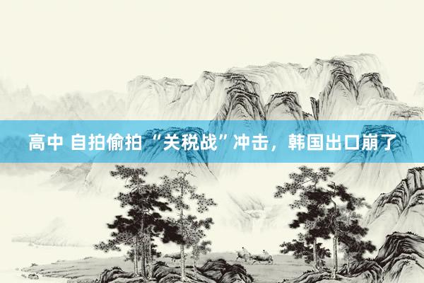 高中 自拍偷拍 “关税战”冲击，韩国出口崩了