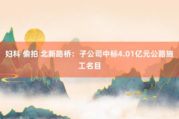 妇科 偷拍 北新路桥：子公司中标4.01亿元公路施工名目