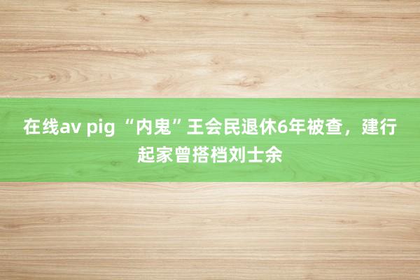 在线av pig “内鬼”王会民退休6年被查，建行起家曾搭档刘士余