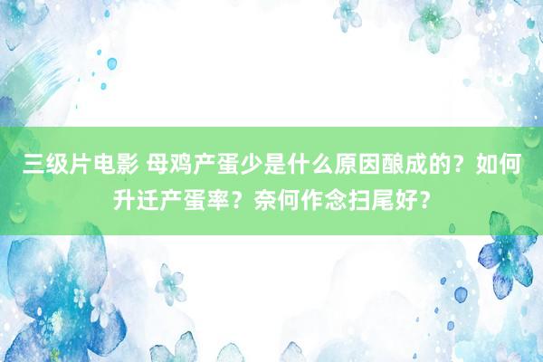 三级片电影 母鸡产蛋少是什么原因酿成的？如何升迁产蛋率？奈何作念扫尾好？